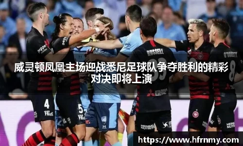 威灵顿凤凰主场迎战悉尼足球队争夺胜利的精彩对决即将上演